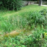 2607H 006 Heder Quellgebiet